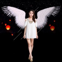 Meilun Art & Craft Feather angel wings