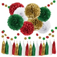 Meilun Christmas Hanging Decorations 30pcs Tissue Paper Pom Pom Tassel Garland Set for Xmas Party Decoration